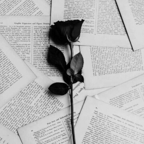 Meet your Posher, Lupita - Picture 1 of 1